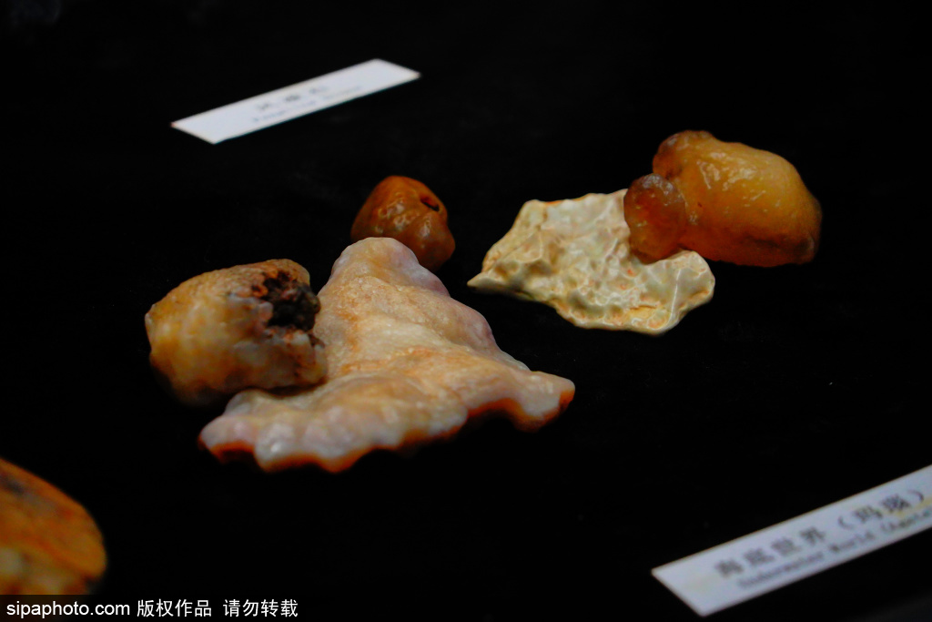 胡同内的“玉门·玉文化特展”