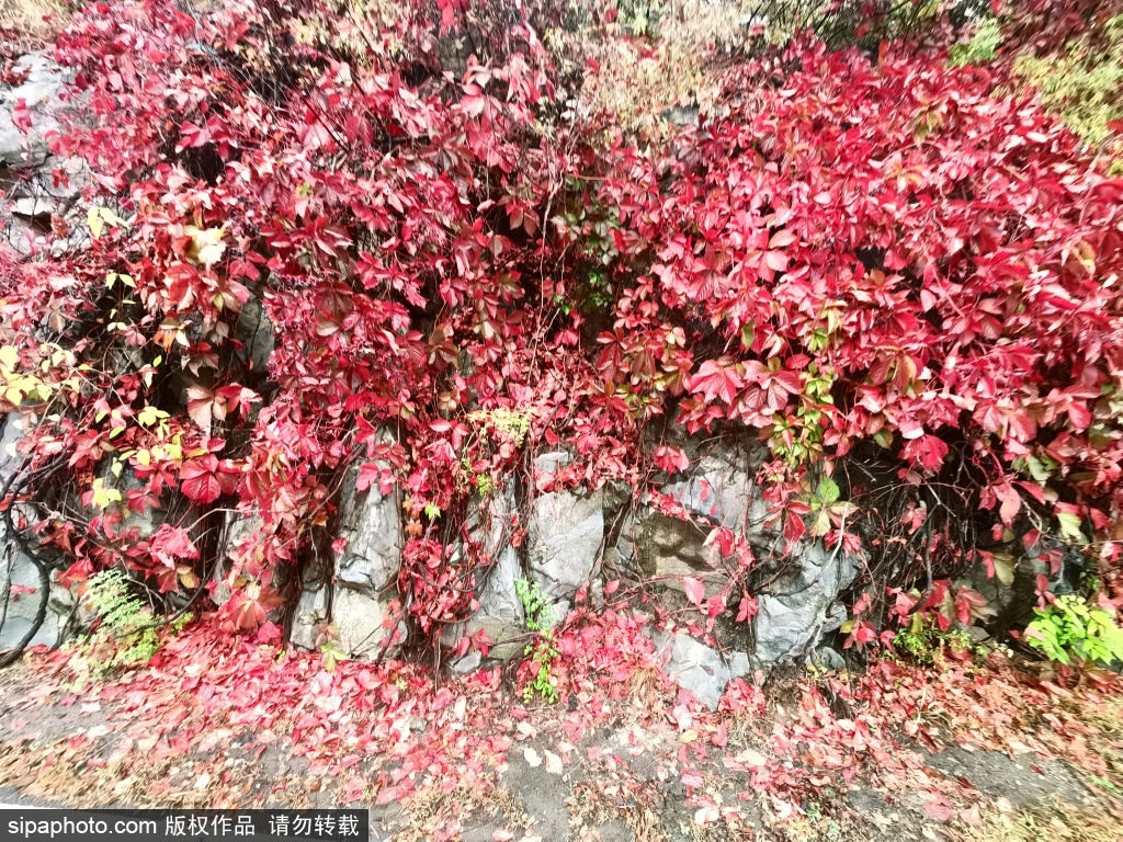 门头沟区清水镇塔河村