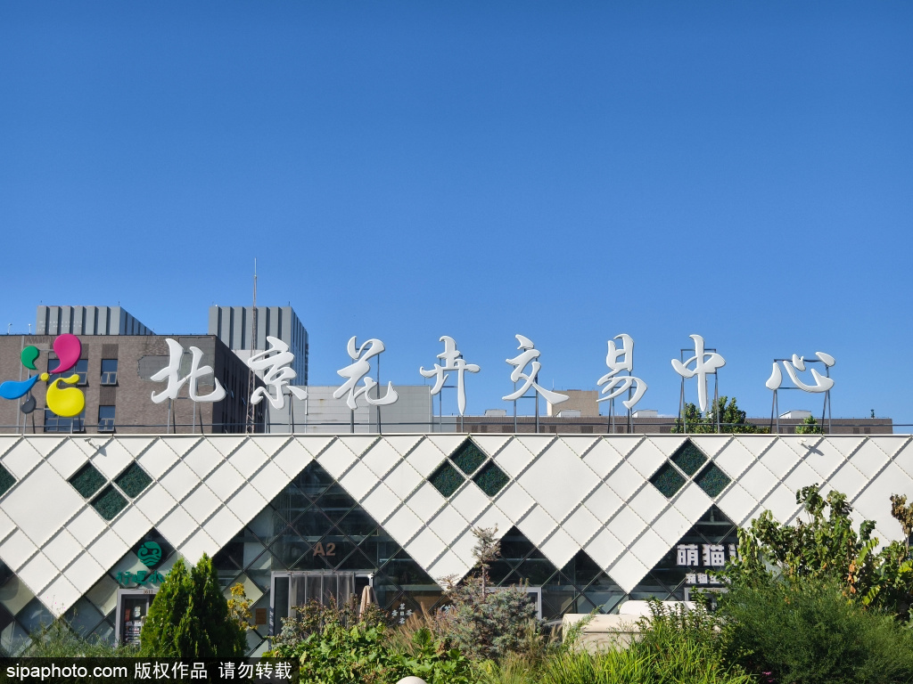 北京花卉交易中心