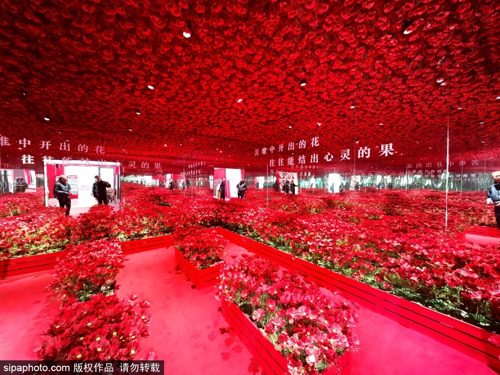 《跟着走·长征》亮相798艺术区