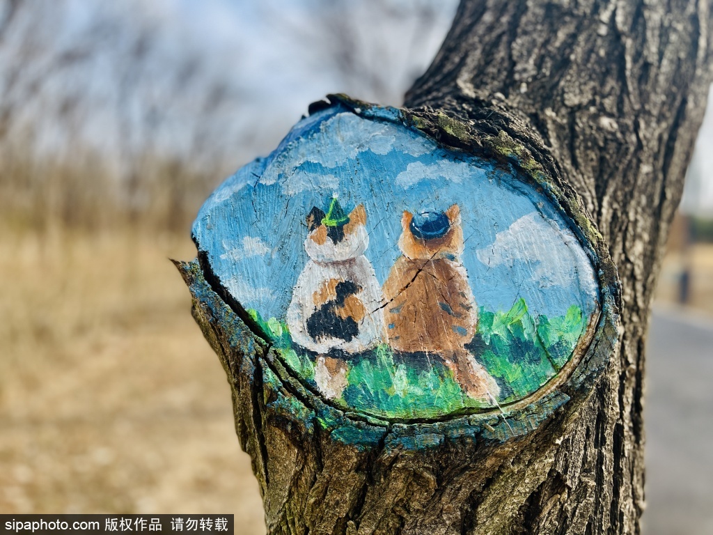 南森“创意树洞画”成为特色打卡地