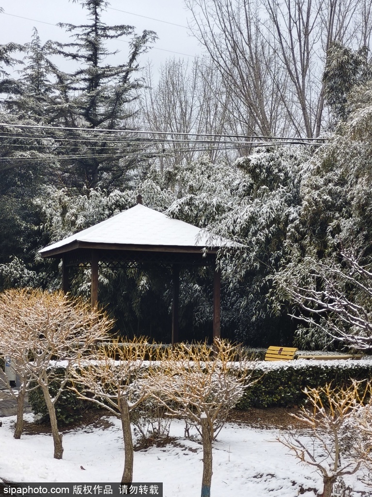 白鹿公园初春雪景