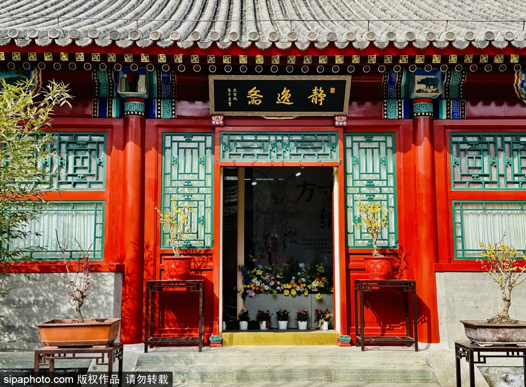 紫竹院里寻春意