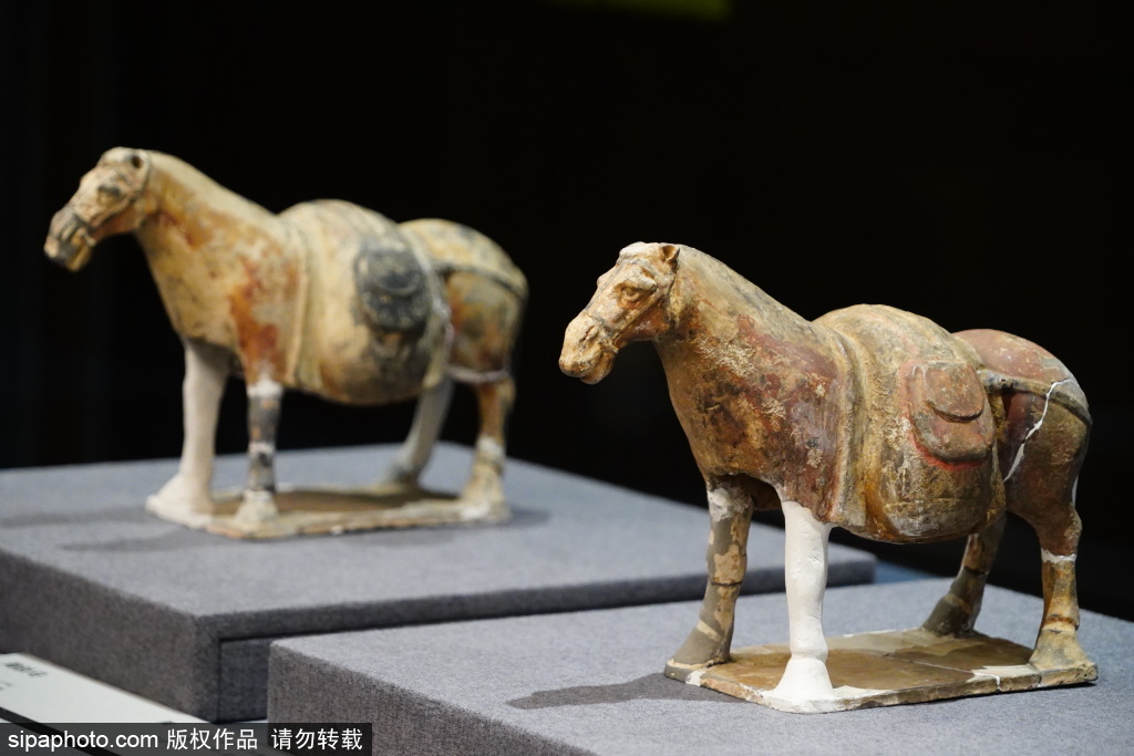 中国考古博物馆“上新” ，揭开北齐帝陵的神秘面纱