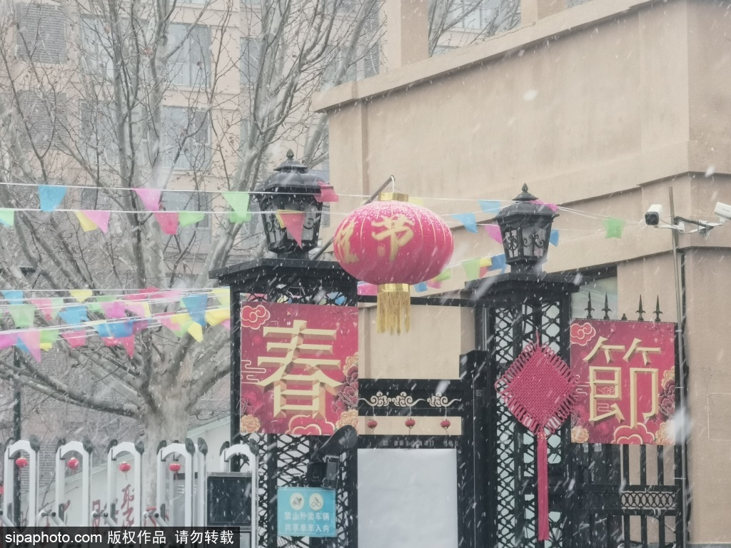 京城迎春雪