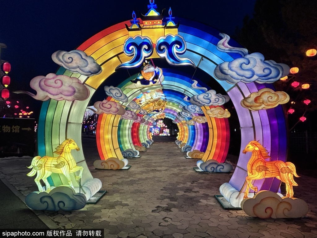 世园公园绚丽的灯光艺术