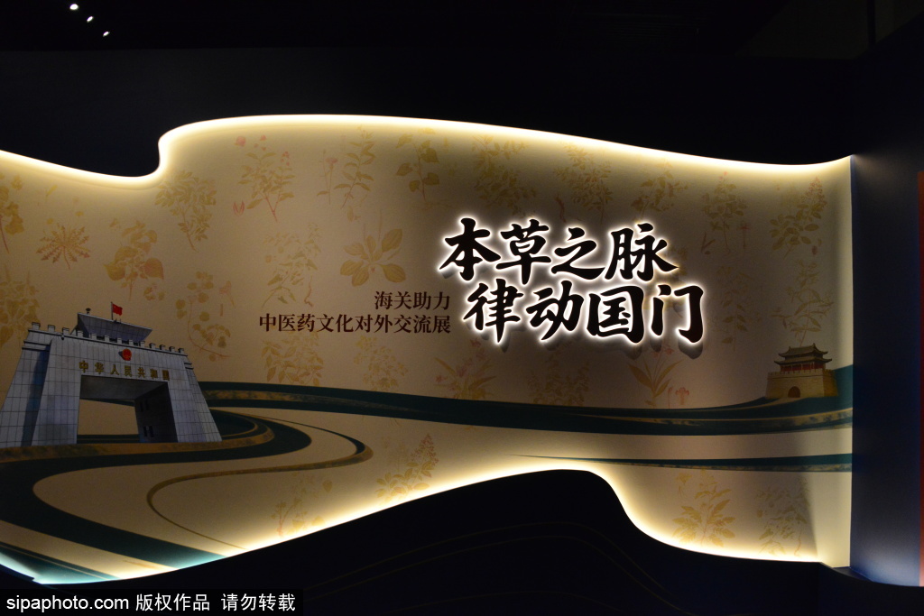 海关博物馆让中医药文化“活”起来