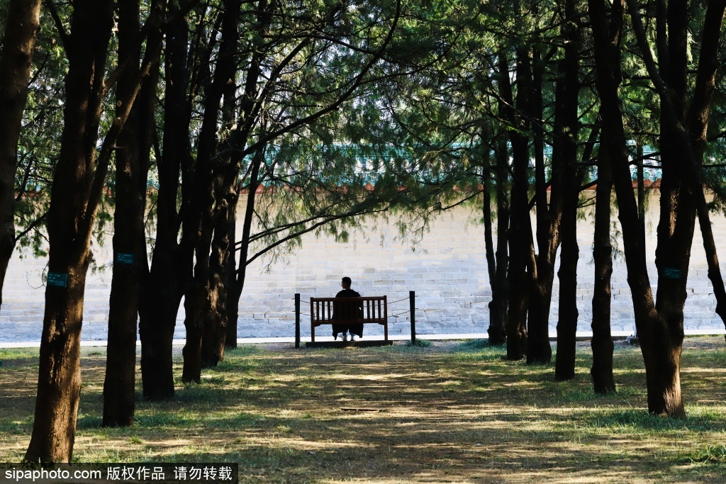 地坛公园望海春意入古建