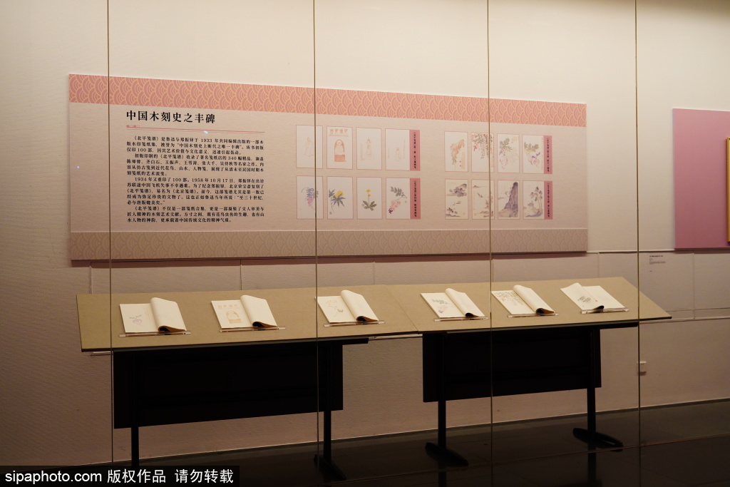 北京画院美术馆，齐白石纪念馆