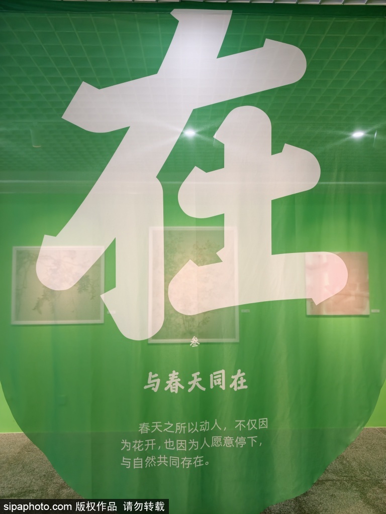 玉渊潭《此间春色》主题展绘就诗意游园体验