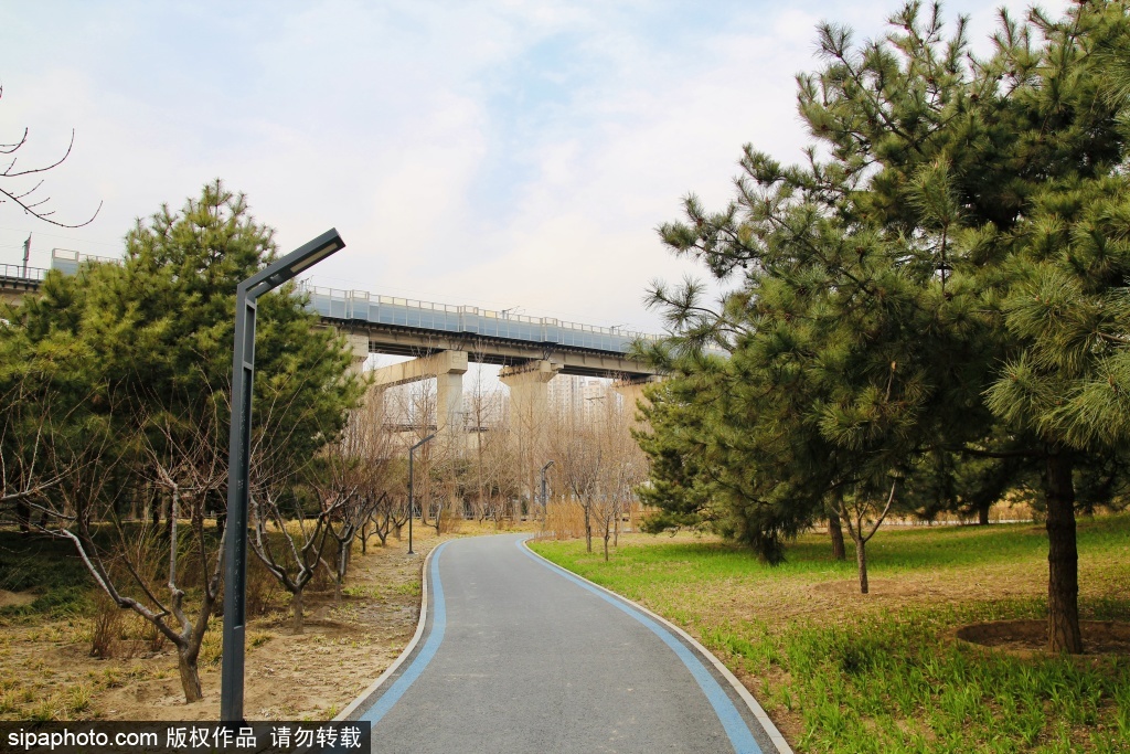 全龄友好型公园青秀城公园春意盎然