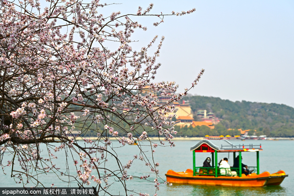 颐和园周末市民乐享春日游船美好时光