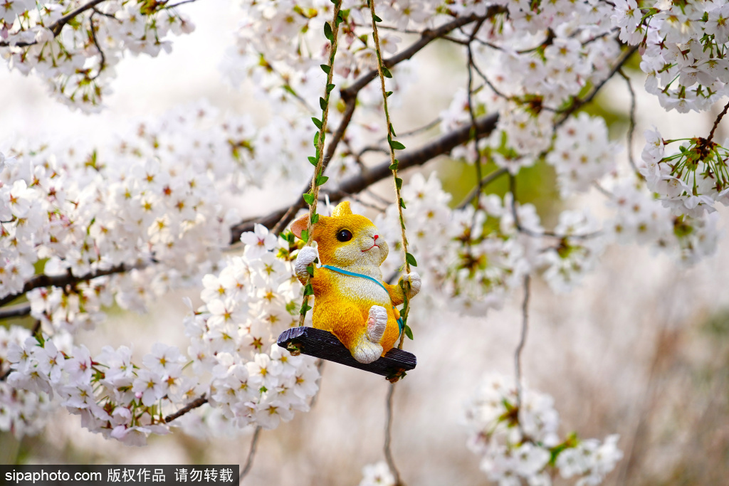 春天的“新晋顶流” 镜面花海藏“萌宠”美如油画