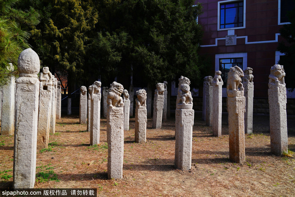 中国现代文学馆展出的拴马桩