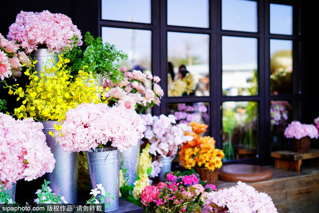 充满春天气息的高颜值咖啡店