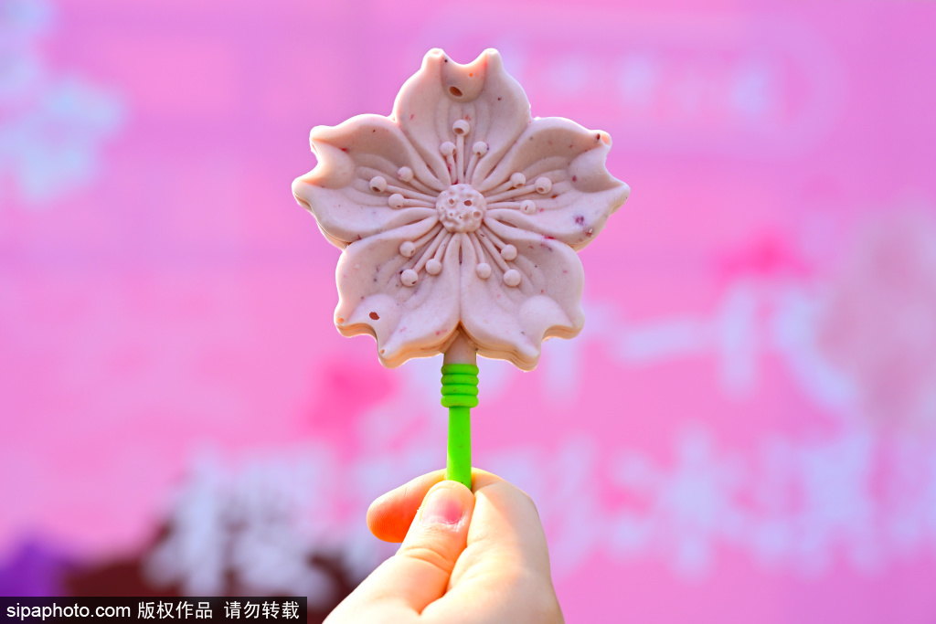 玉渊潭公园樱花冰棍