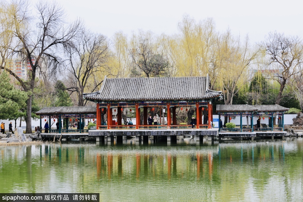 漫步大观园春景