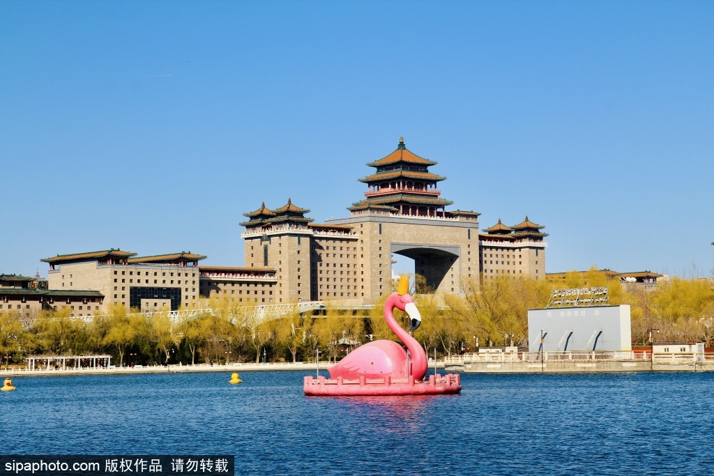 春入莲花池生机满万物