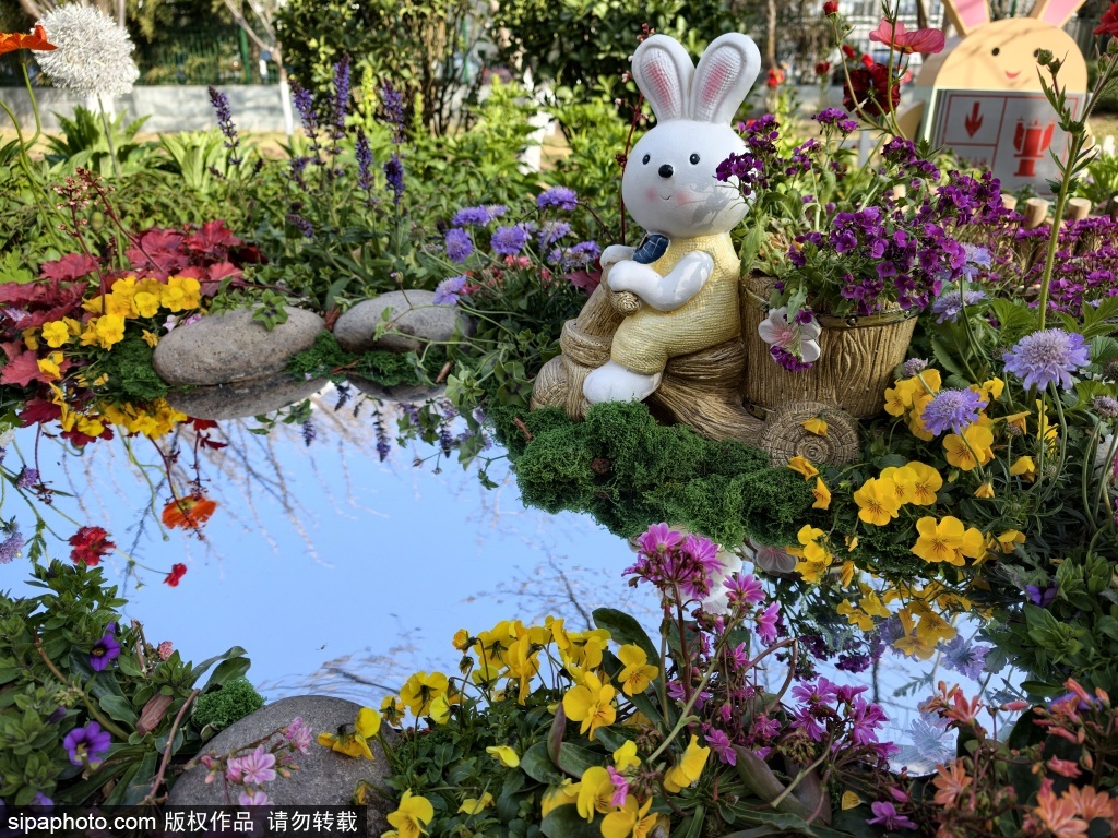 玉渊潭公园萌趣兔子造景火出圈 仿佛闯进浪漫的春日童话