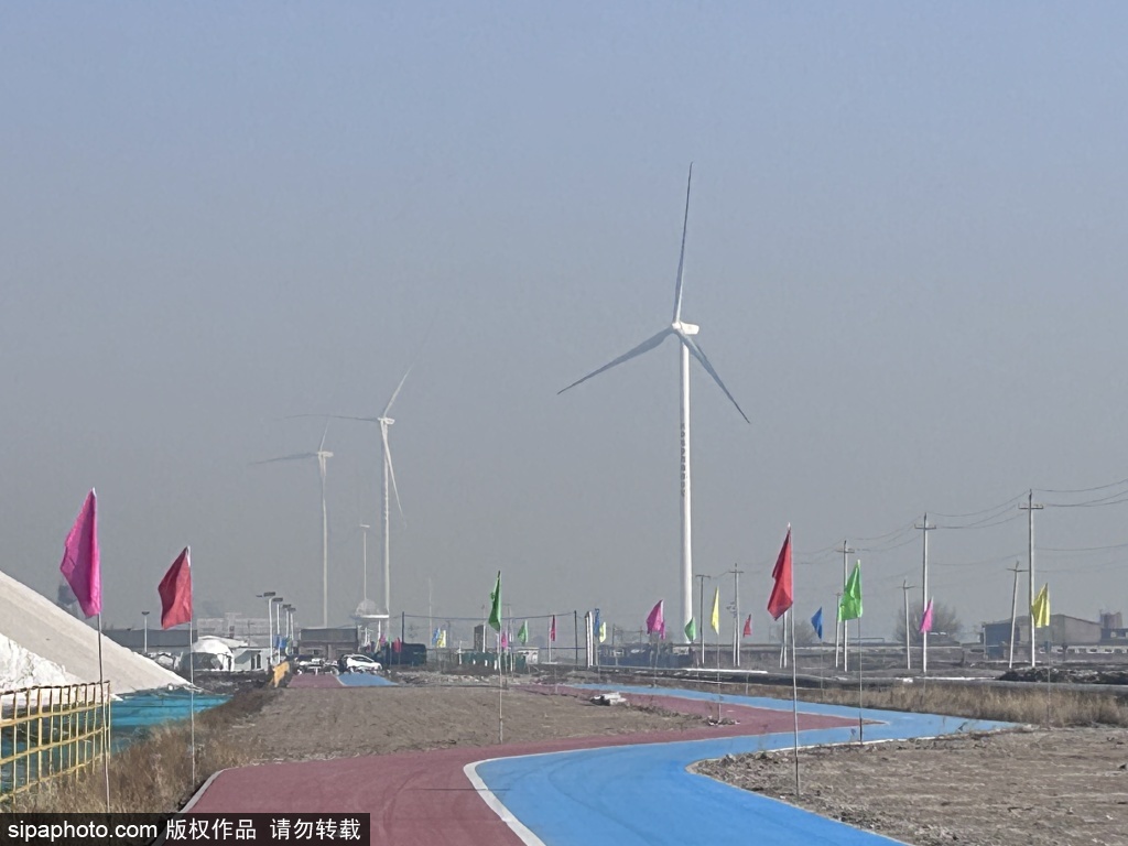 天津长芦塘沽盐场芦花盐乐园