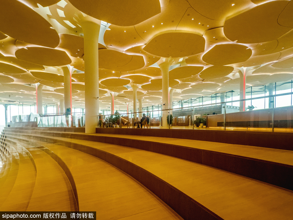 北京城市图书馆图鉴：偷得浮生半日闲