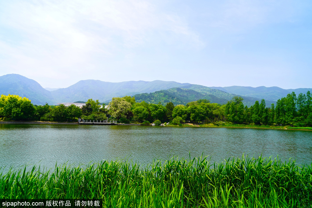 北京绿树成荫满是清新与活力