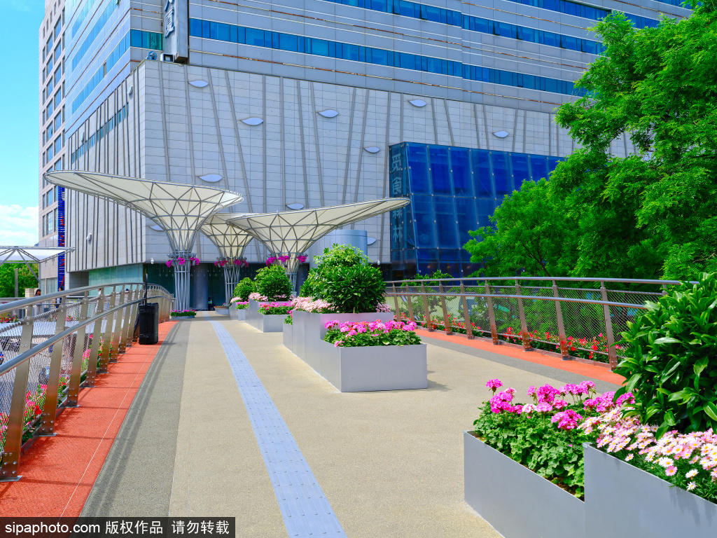 中心城区最长空中连廊全线贯通 成为新晋打卡点