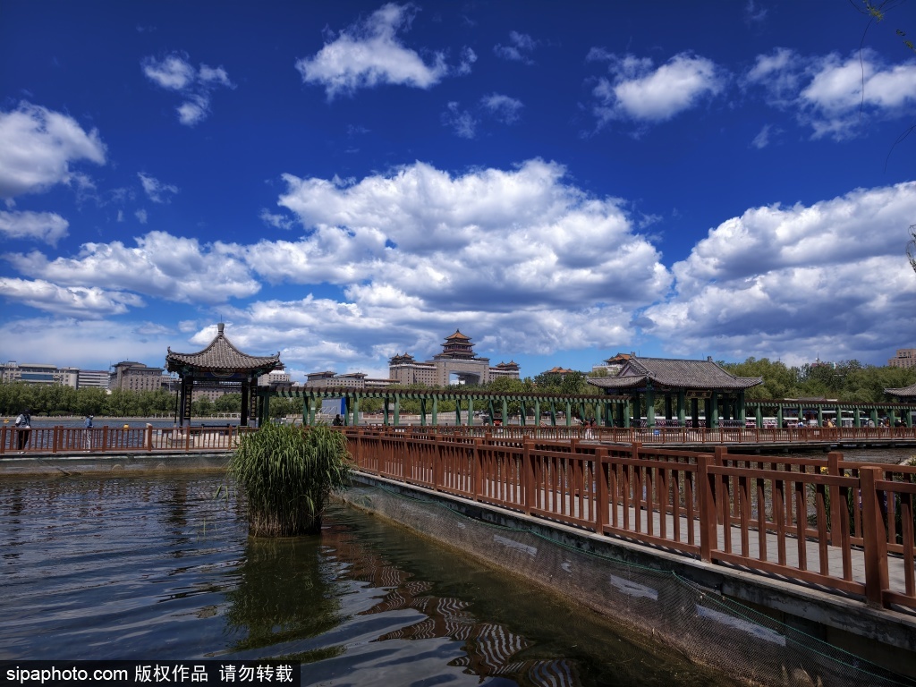 莲花池蓝天白云宛若“天空之镜”