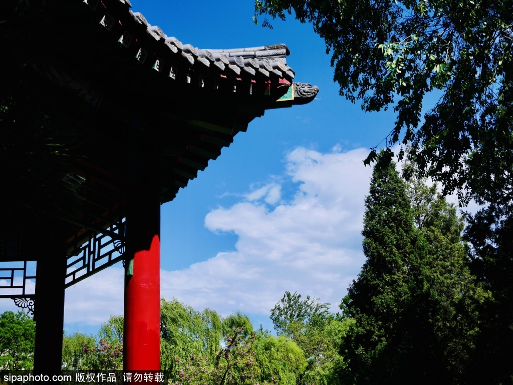 初夏蓝天白云下的万芳亭公园