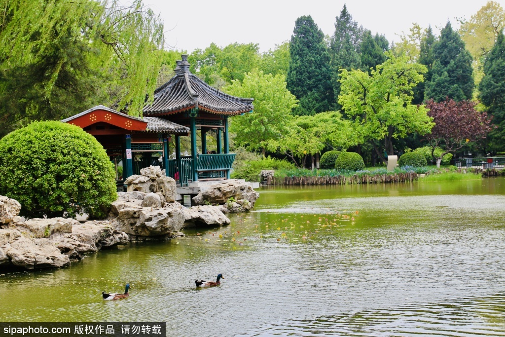 宣武艺园绿荫繁花