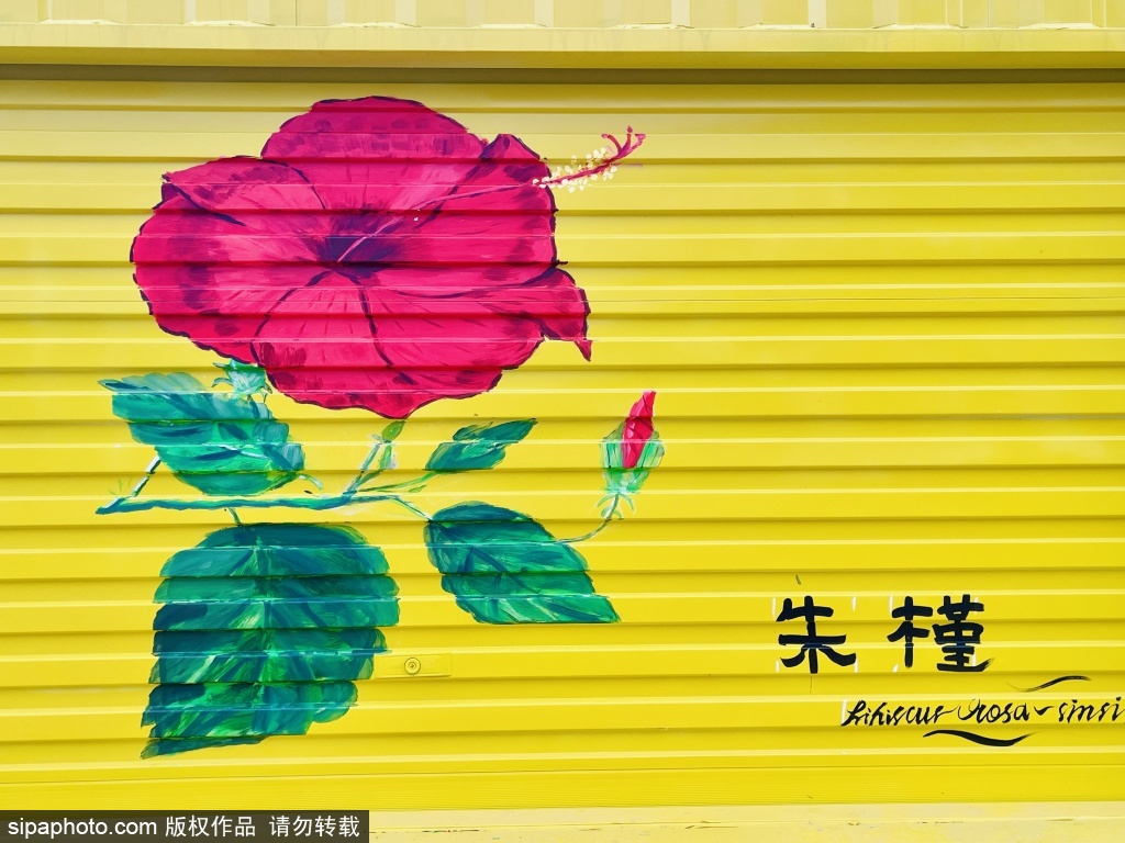 花卉大观园旁的城南花街夜市