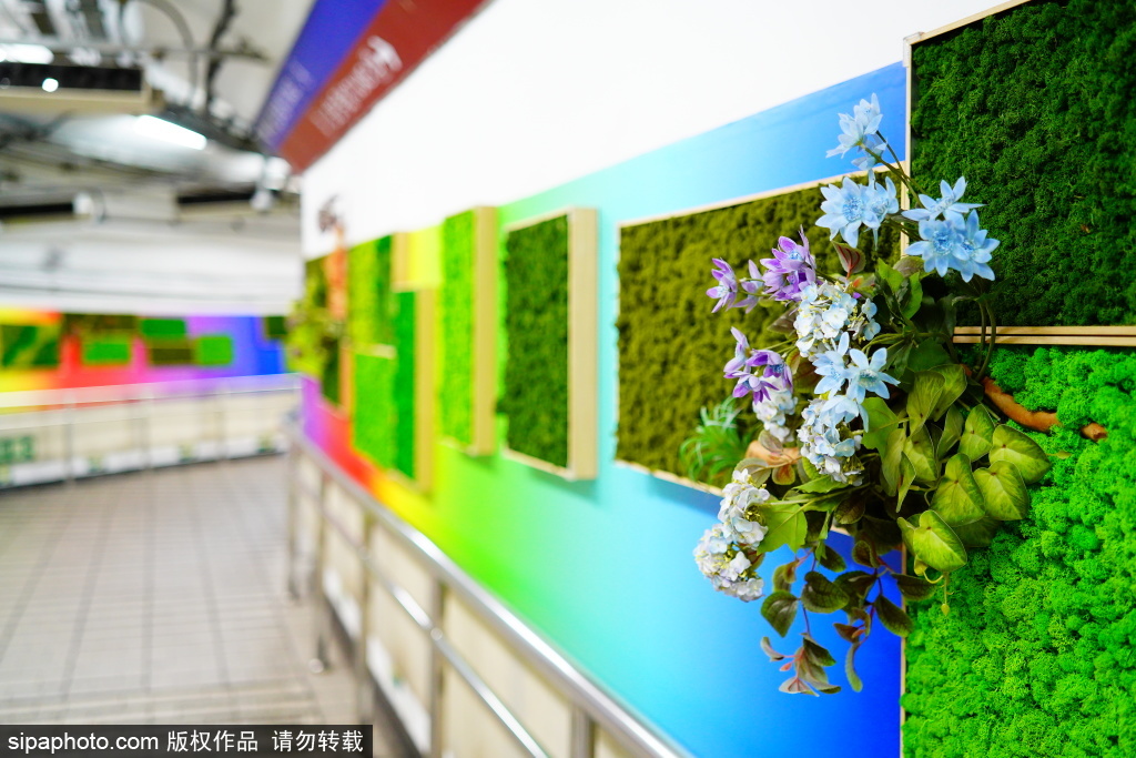 鲜花绿植“进驻”地铁站为行人添凉意，自然与城市公共空间巧妙融合