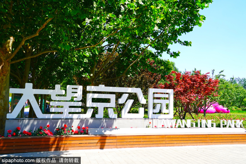大望京公园夏日美如油画 ，巨型草莓熊增添满满童趣