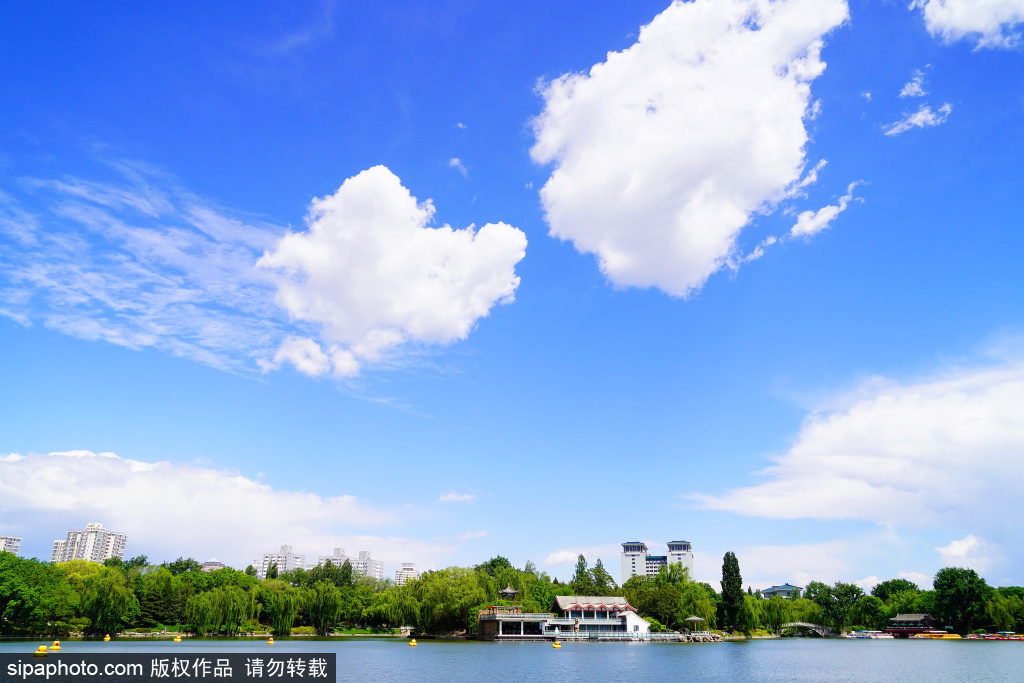 紫竹院公园邂逅“爱心云”，是初夏里的温柔告白