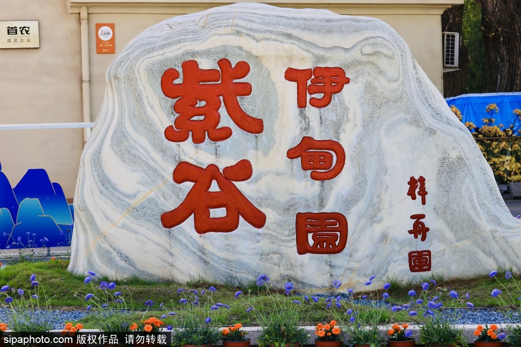 紫谷伊甸园坠入一场花海梦境