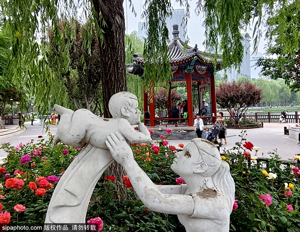 周末西海子公园，让市民尽享周日浪漫时光