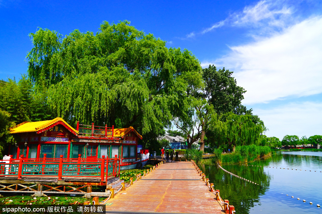 首都核心区的西海湿地公园， 蓝天白云下美景如画