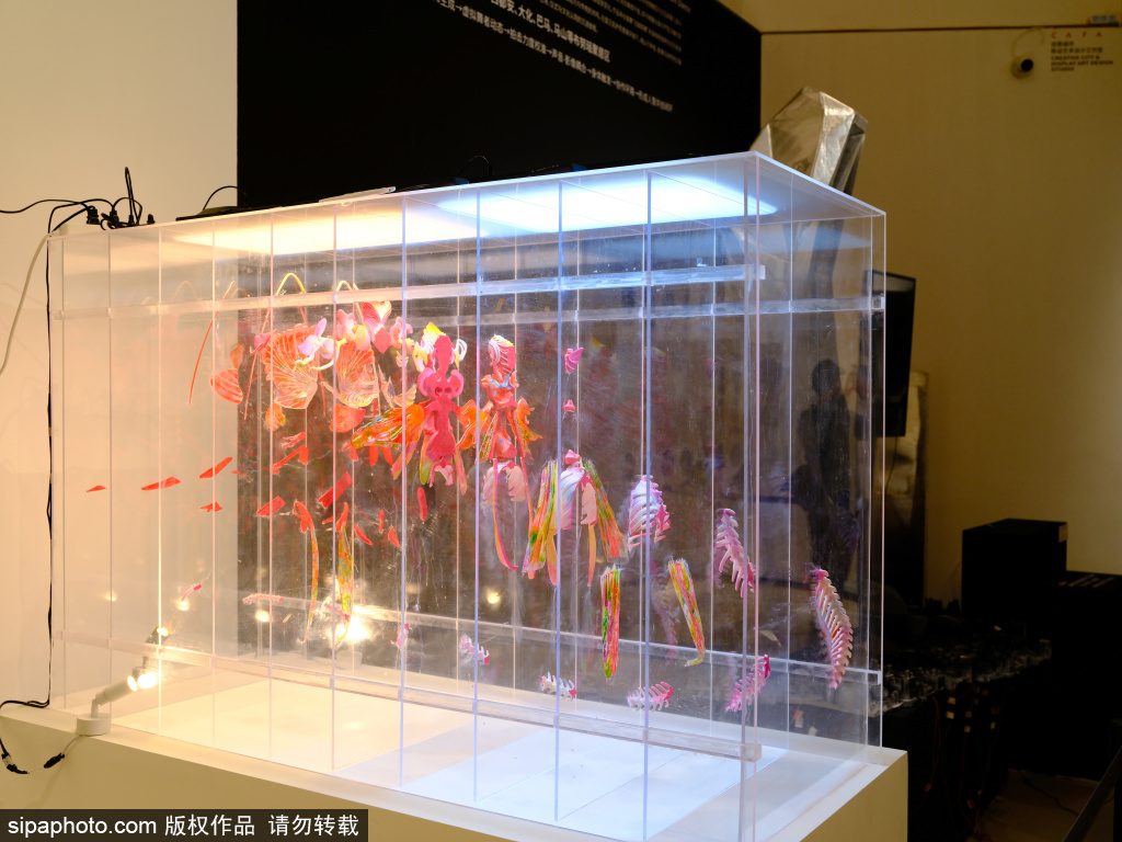 2026中央美术学院毕业季 本科生毕业作品展精彩呈现