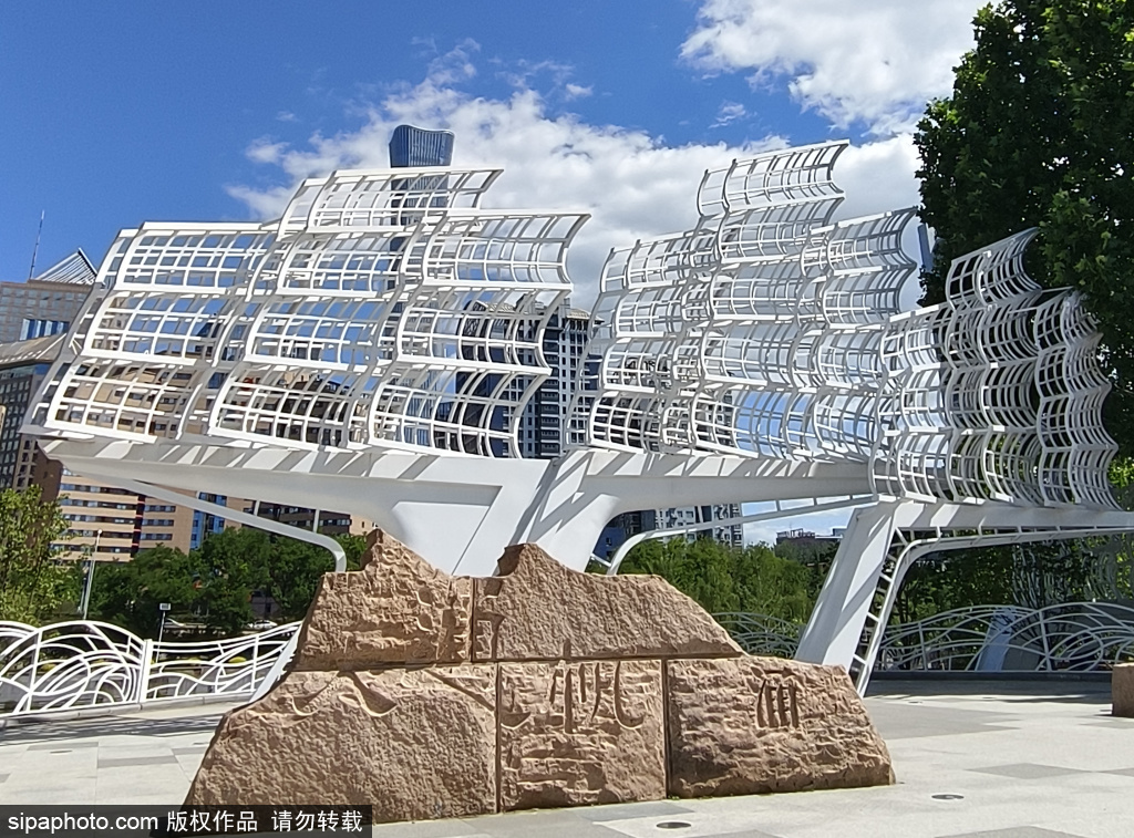庆丰公园夏季景色美如画