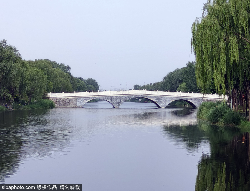 马家湾湿地公园成为市民夏季打卡地