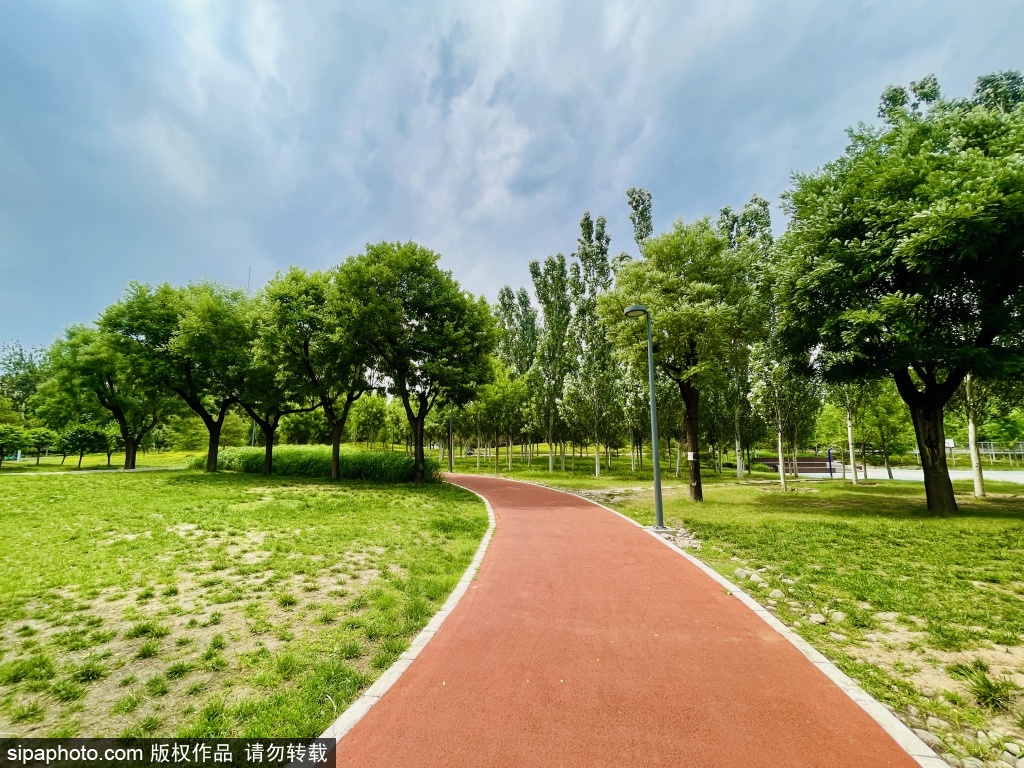 盛夏丽泽体育公园云悠花正好