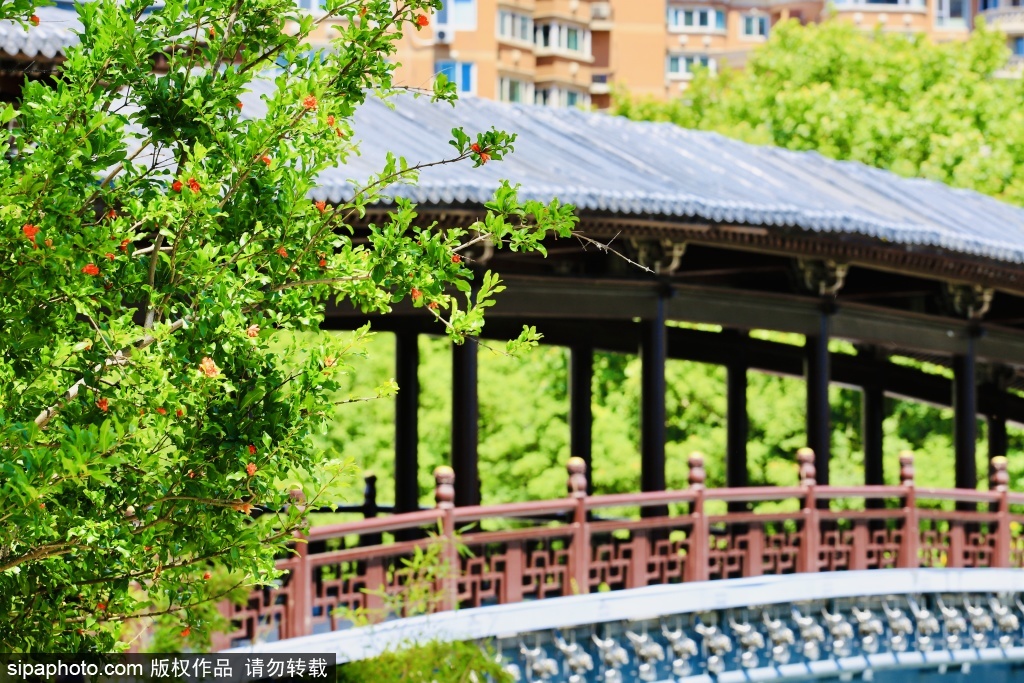 金中都公园夏日云景正当时