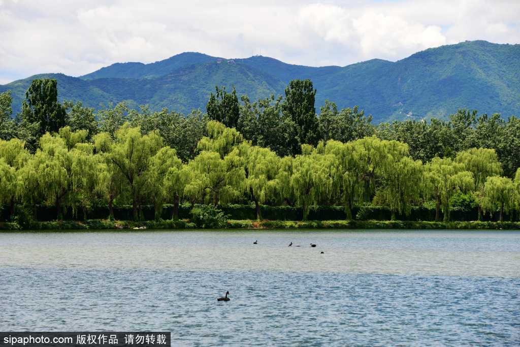 颐和园夏日晴光胜画