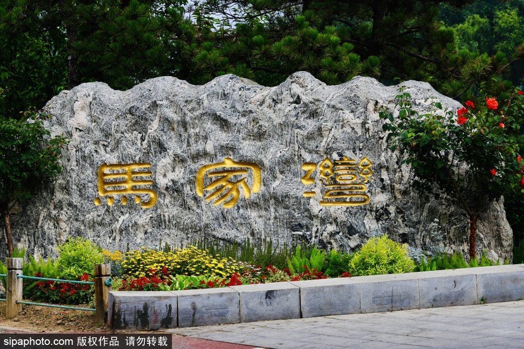夏韵马家湾湿地公园蕴生机