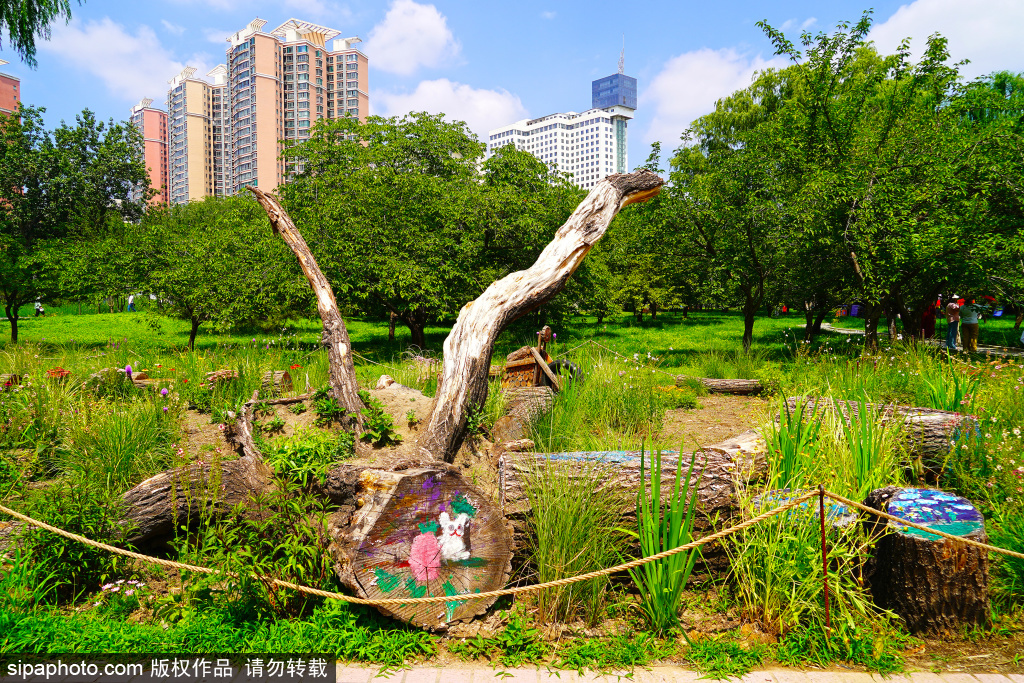 枯树彩绘扮靓莲花池公园