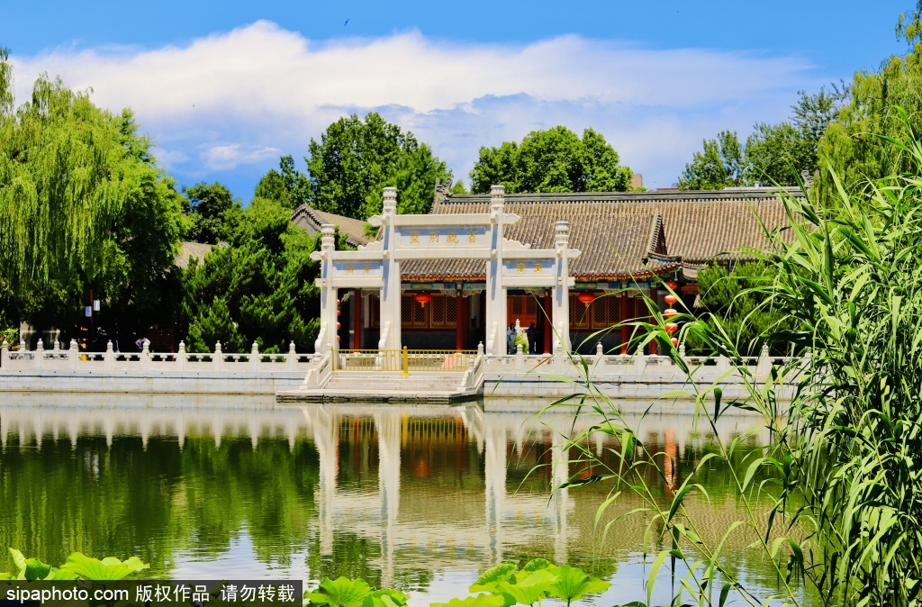 大观园夏日清景入画来
