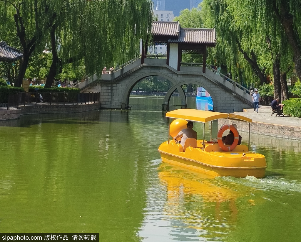 团结湖公园