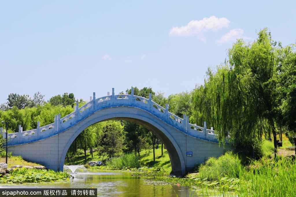 蓝天白云下南苑森林湿地公园生态画卷