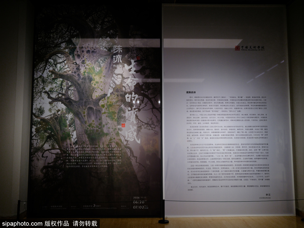 陈流作品展——用最写实的笔画出最旷远的意境