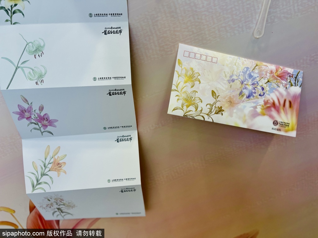 百世合香——百合的千年雅韵与时代新生